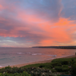 シーオブ　グラス　14